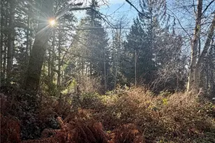 51 Fox Rd, Quilcene, WA 98376 - Photo 1