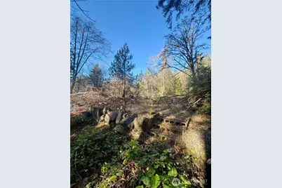 51 Fox Road, Quilcene, WA 98376 - Photo 3