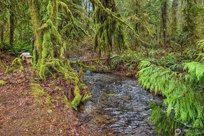 16109 Kelly Road NE, Duvall, WA 98019 - Photo 39