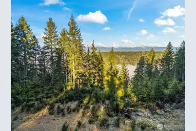 1133 E Timber Tides Drive, Union, WA 98592 - Photo 1