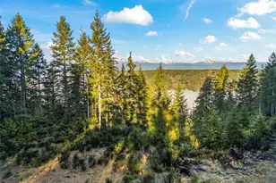 1133 E Timber Tides Dr, Union, WA 98592 - Photo 1