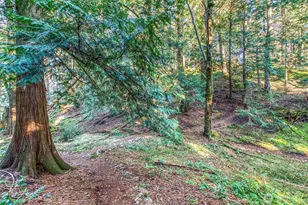 749 Spring Hill Rd, Orcas Island, WA 98245 - Photo 33