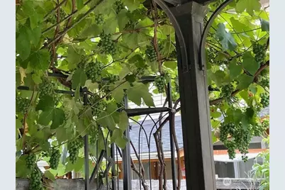 18731 116th Avenue E, Puyallup, WA 98374 - Photo 31