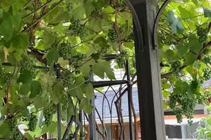 18731 116th Ave E, Puyallup, WA 98374 - Photo 31