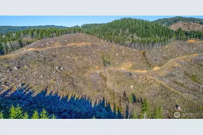 0 West Deep River Road, Naselle, WA 98638 - Photo 9