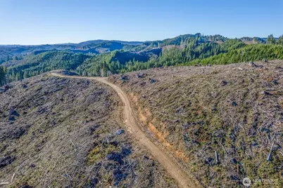 0 West Deep River Road, Naselle, WA 98638 - Photo 7