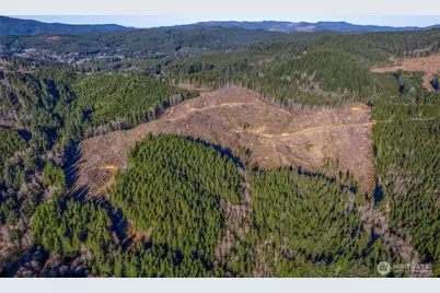 0 West Deep River Road, Naselle, WA 98638 - Photo 3