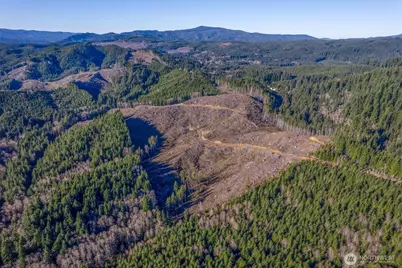 0 West Deep River Road, Naselle, WA 98638 - Photo 13