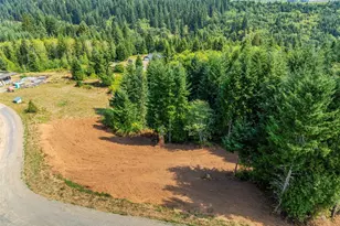 287 Bison Run Rd, Longview, WA 98632 - Photo 1