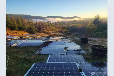 317 Parpal Road, Naselle, WA 98638 - Photo 1