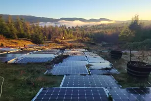 317 Parpal Rd, Naselle, WA 98638 - Photo 1