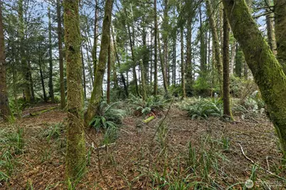 2776 State Route 109, Ocean City, WA 98569 - Photo 11