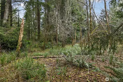 2776 State Route 109, Ocean City, WA 98569 - Photo 15