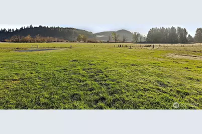 1655 Wheaton Street, Raymond, WA 98577 - Photo 31