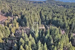 91 N Wigeon Pl, Hoodsport, WA 98584 - Photo 5