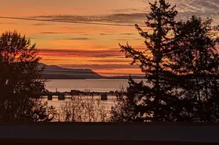 1014 11th St, Bellingham, WA 98225 - Photo 3