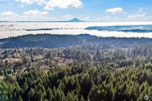 1155 Panoramic Loop, Bremerton, WA 98312 - Photo 3