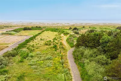 2013 State Route 105, Grayland, WA 98547 - Photo 3