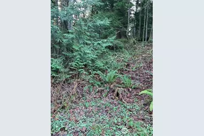 283 Xx SE 146th Street, Issaquah, WA 98027 - Photo 1