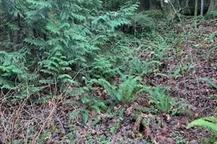 283 Xx SE 146th St, Issaquah, WA 98027 - Photo 1