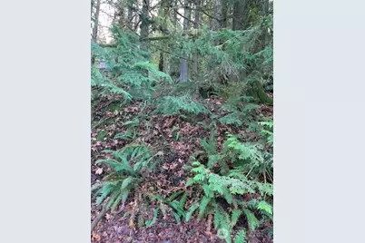 283 Xx SE 146th Street, Issaquah, WA 98027 - Photo 7