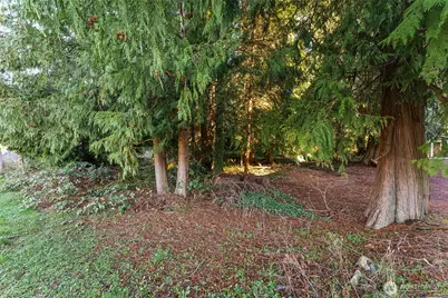 9512 210th Avenue E, Bonney Lake, WA 98391 - Photo 27