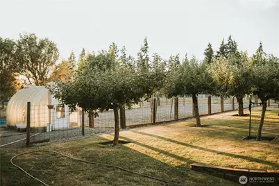 4004 50th Street Ct E, Tacoma, WA 98443 - Photo 35