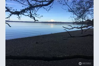 4321 Freemont Street NE, Olympia, WA 98516 - Photo 39