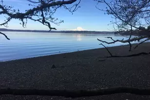 4321 Freemont St NE, Olympia, WA 98516 - Photo 39