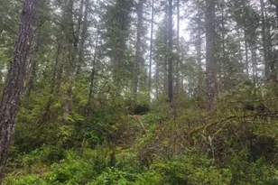 1 Gd 2048 Rd, Union, WA 98592 - Photo 1