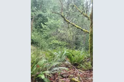 1 Gd 2048 Rd, Union, WA 98592 - Photo 1