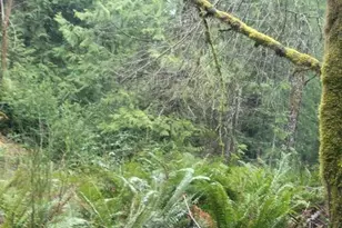 1 Gd 2048 Rd, Union, WA 98592 - Photo 1