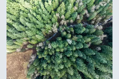 14703 184th Street NE, Arlington, WA 98223 - Photo 13