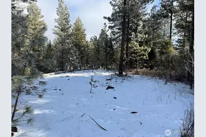 0 Tbd Cartwright Drive #Lot 1, Tonasket, WA 98855 - Photo 11