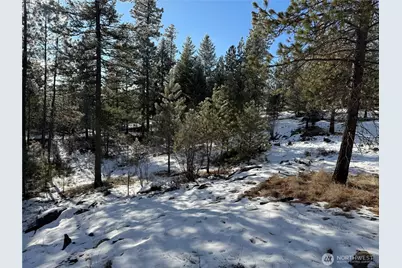 0 Tbd Cartwright Drive #Lot 1, Tonasket, WA 98855 - Photo 23