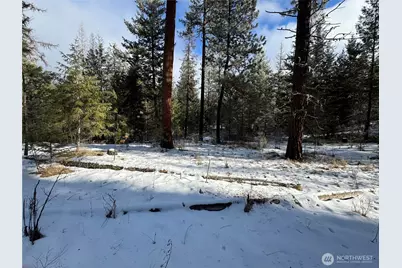 0 Tbd Cartwright Drive #Lot 1, Tonasket, WA 98855 - Photo 13