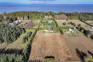 132 Cosmos Ln, Port Angeles, WA 98362 - Photo 5