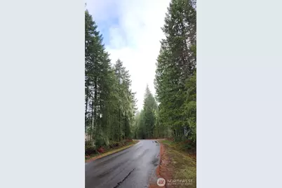 51 N Cod Place, Hoodsport, WA 98548 - Photo 3