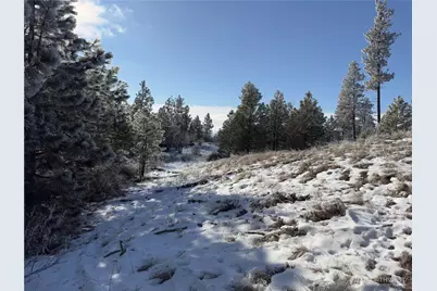 0 Tbd Cartwright Drive #Lot 2, Tonasket, WA 98855 - Photo 9