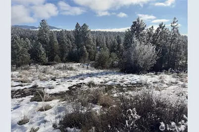 0 Tbd Cartwright Drive #Lot 2, Tonasket, WA 98855 - Photo 5