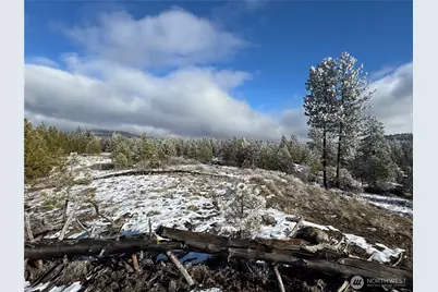 0 Tbd Cartwright Drive #Lot 2, Tonasket, WA 98855 - Photo 21