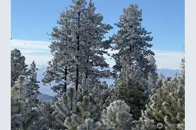 0 Tbd Cartwright Drive #Lot 2, Tonasket, WA 98855 - Photo 11