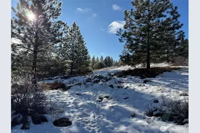 0 Tbd Cartwright Drive #Lot 2, Tonasket, WA 98855 - Photo 17