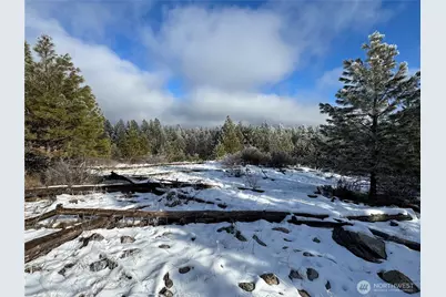 0 Tbd Cartwright Drive #Lot 2, Tonasket, WA 98855 - Photo 13