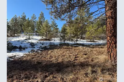 0 Tbd Cartwright Drive #Lot 2, Tonasket, WA 98855 - Photo 19