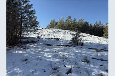 0 Tbd Cartwright Drive #Lot 2, Tonasket, WA 98855 - Photo 3