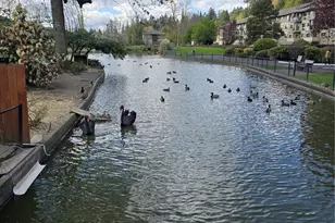 5585 E Evergreen Blvd, Vancouver, WA 98661 - Photo 11