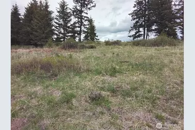 88 Cow Camp Road, Oroville, WA 98844 - Photo 35