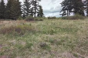 88 Cow Camp Rd, Oroville, WA 98844 - Photo 35