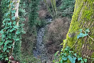 23453 16th Ave S, Des Moines, WA 98198 - Photo 15